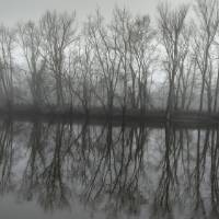 Misty morning along the Grand River at the Grand Ravines Park